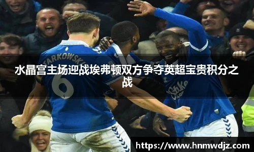 水晶宫主场迎战埃弗顿双方争夺英超宝贵积分之战