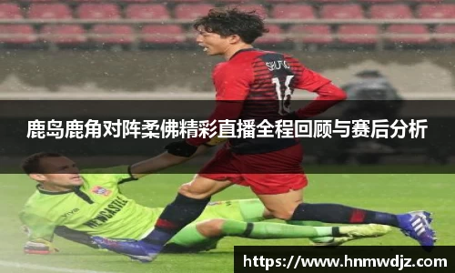 奇异果qyg网页版