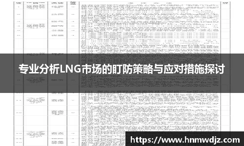专业分析LNG市场的盯防策略与应对措施探讨